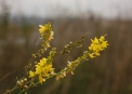 IMG_6127_resize